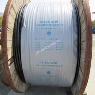上海上塑电线电缆450/750V NH-KYJV电力电缆 2*1
