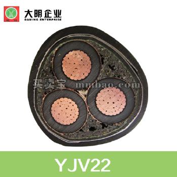 YJV22铜芯交联聚乙烯绝缘双钢带铠装聚氯乙烯护套电力电缆 3*50