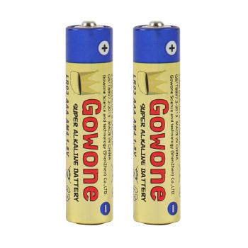 Gowone购旺 无汞环保碱性电池出口简装 7号 AAA LR03 血糖仪电动玩具电池